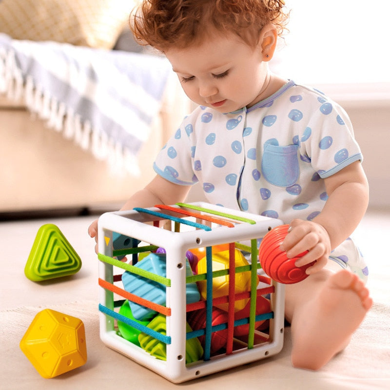 Montessori Shape Blocks Sorting Game